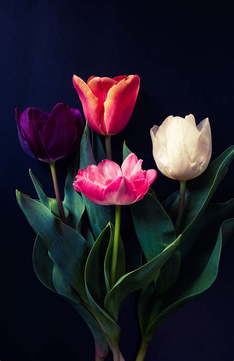 behance.net gallery|Fine Arts :: Behance.